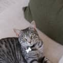 Photo of Luna