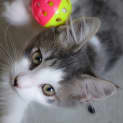 Photo of Jasper