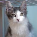 Photo of Jasper