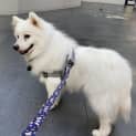 Photo of Cloud