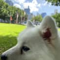 Photo of Cloud