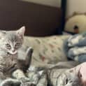 Photo of Custard & Jelly