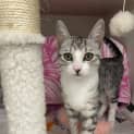 Photo of Huckleberry