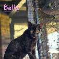 Photo of Bella 