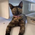 Photo of Pippy