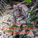 Photo of Nimbos