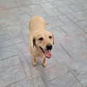 Photo of Shamari