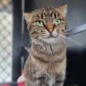 Photo of Fifi