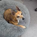 Photo of Mojito