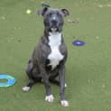 Photo of Brucie
