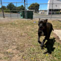 Photo of Sally