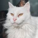 Photo of Margot