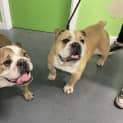 Photo of Esther (And May)