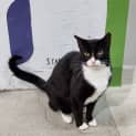 Photo of Archie