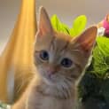 Photo of Lady Tilly