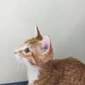 Photo of Louie Lou
