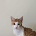 Photo of Betty Lou