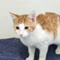 Photo of Betty Lou