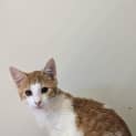Photo of Betty Lou
