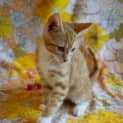 Photo of Happy