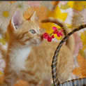 Photo of Happy
