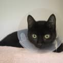 Photo of Blue