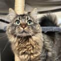 Photo of Zoe