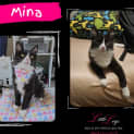 Photo of Mina