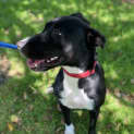 Photo of Prue