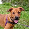 Photo of Viza