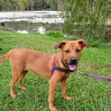 Photo of Viza
