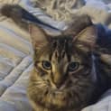 Photo of Maggie