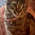 Photo of Maggie