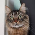 Photo of Zoe