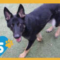 Photo of Spy