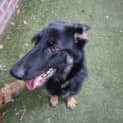 Photo of Spy
