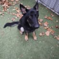 Photo of Spy