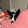 Photo of Maggie