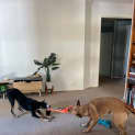Photo of Maggie