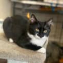 Photo of Connie 