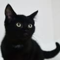 Photo of Freya