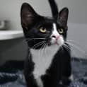 Photo of Love Bug