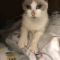 Photo of Della