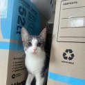 Photo of Thelma