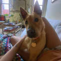 Photo of Kio