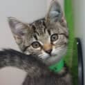 Photo of Mable 