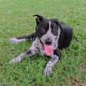 Photo of Jax