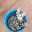 Photo of Max
