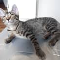 Photo of Max