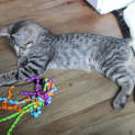 Photo of Max